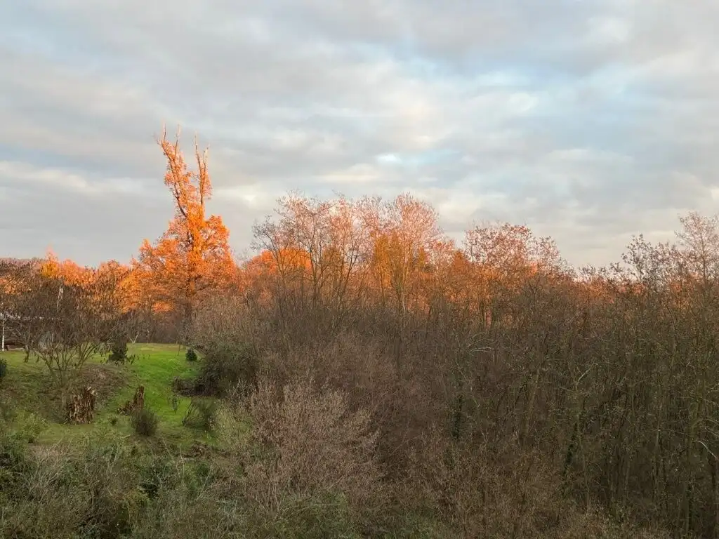 Beautiful autumn landscape of a villa in Mezzana Mortigliengo, Piedmont, surrounded by colorful tree.