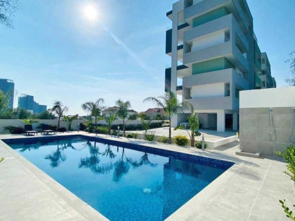 whatsapp image 2022 12 19 at 124901 copy large