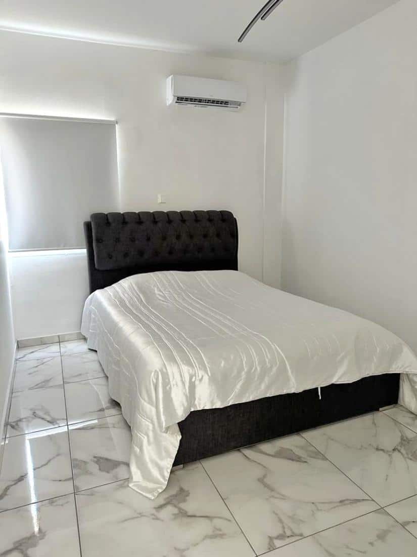 whatsapp-image-2023-02-09-at-145328-3-copy-large