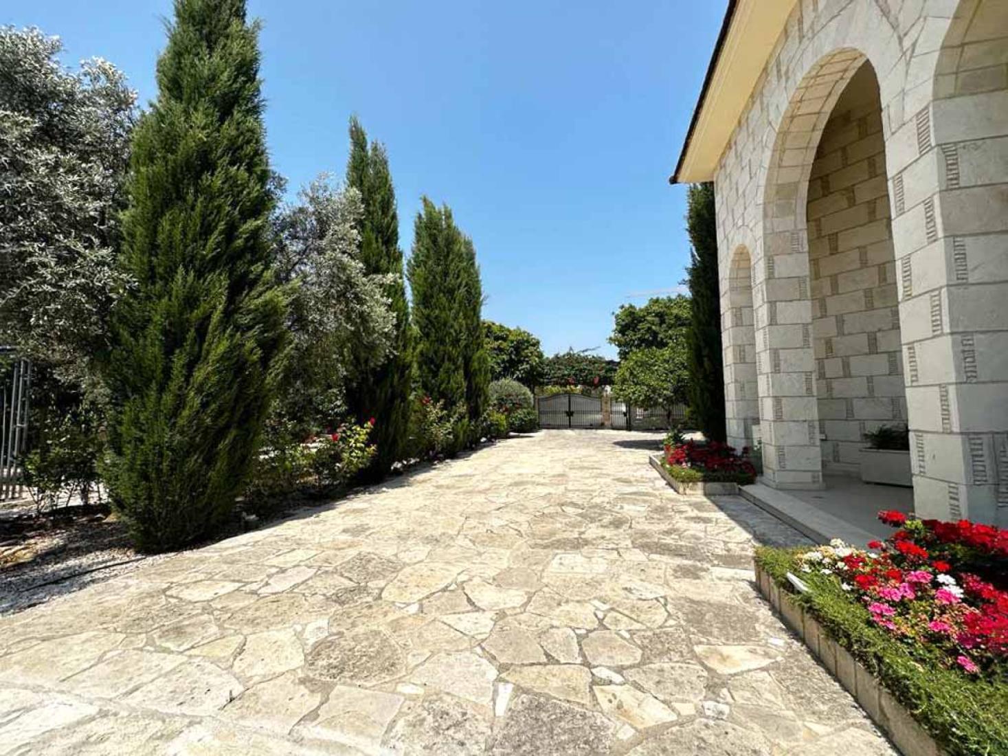 whatsapp-image-2023-07-12-at-140711-copy-large