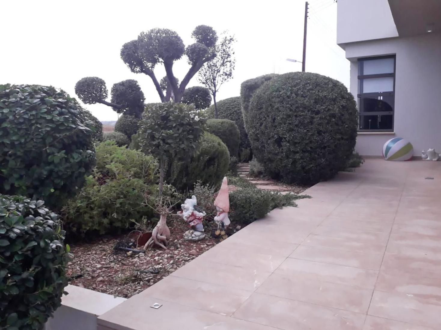 whatsapp-image-2024-01-31-at-202210-10-copy-large