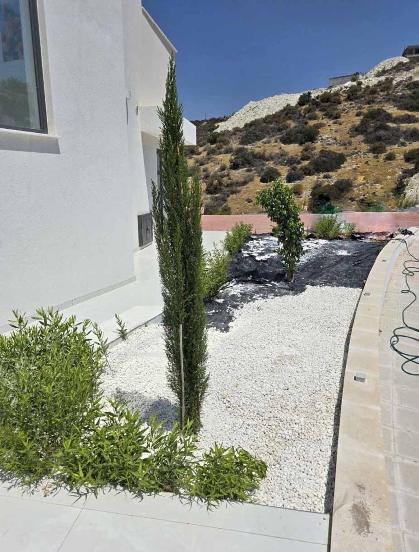 whatsapp-image-2024-09-26-at-164311-1-copy-large