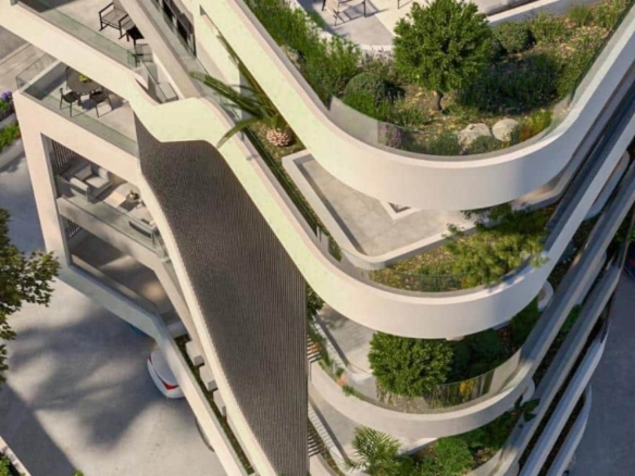 whatsapp image 2024 11 26 at 150939 3 large large 1