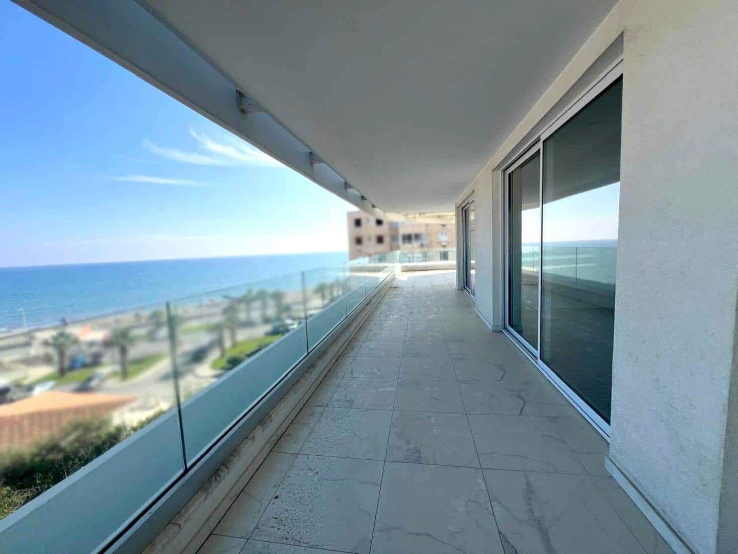 whatsapp-image-2025-01-20-at-092348-3-copy-large