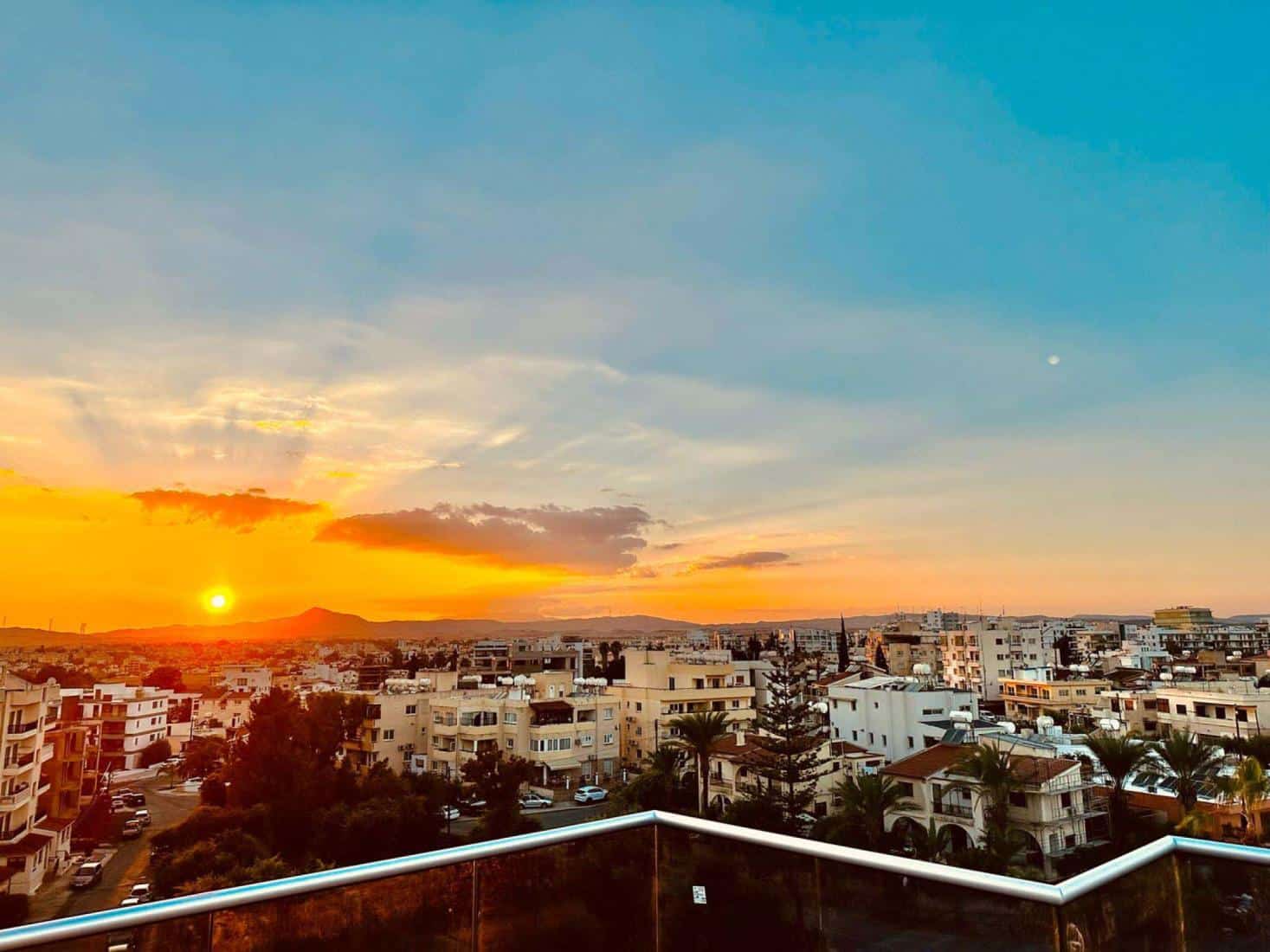 whatsapp-image-2025-01-20-at-120612-6-copy-large