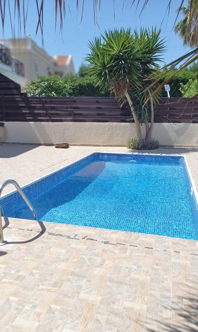 whatsapp-image-2025-03-13-at-113505-2-copy-large