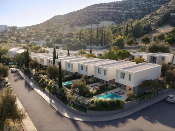 whatsapp image 2025 03 13 at 121313 large large