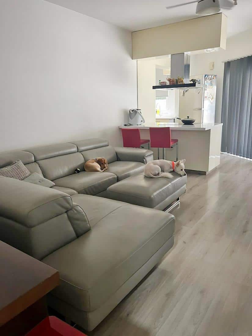 whatsapp-image-2025-03-27-at-131603-2-copy-large