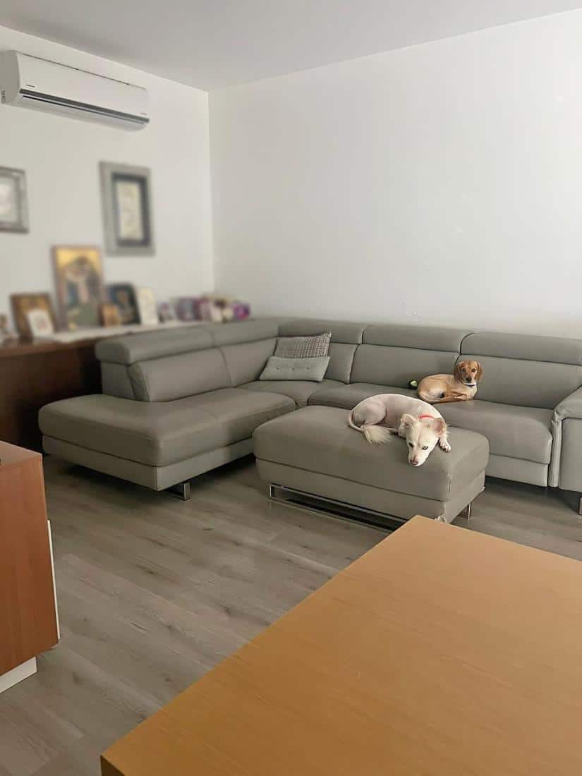 whatsapp-image-2025-03-27-at-131605-2-copy-large