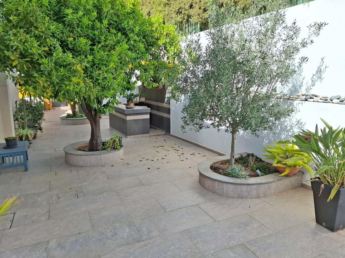 whatsapp-image-2025-05-02-at-121532-9-copy-large