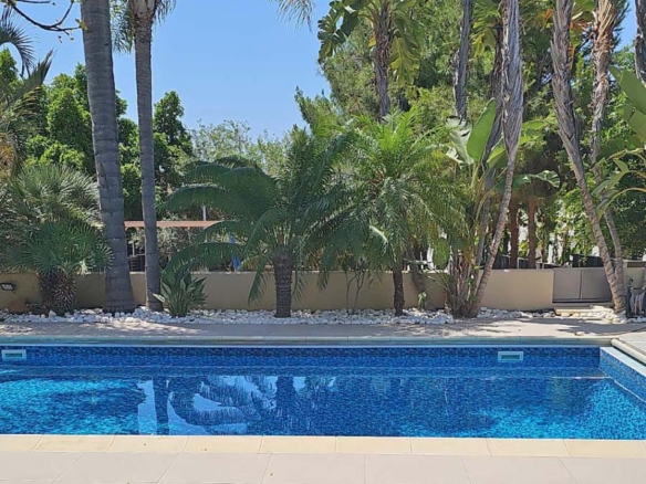 whatsapp image 2025 05 27 at 165542 copy large