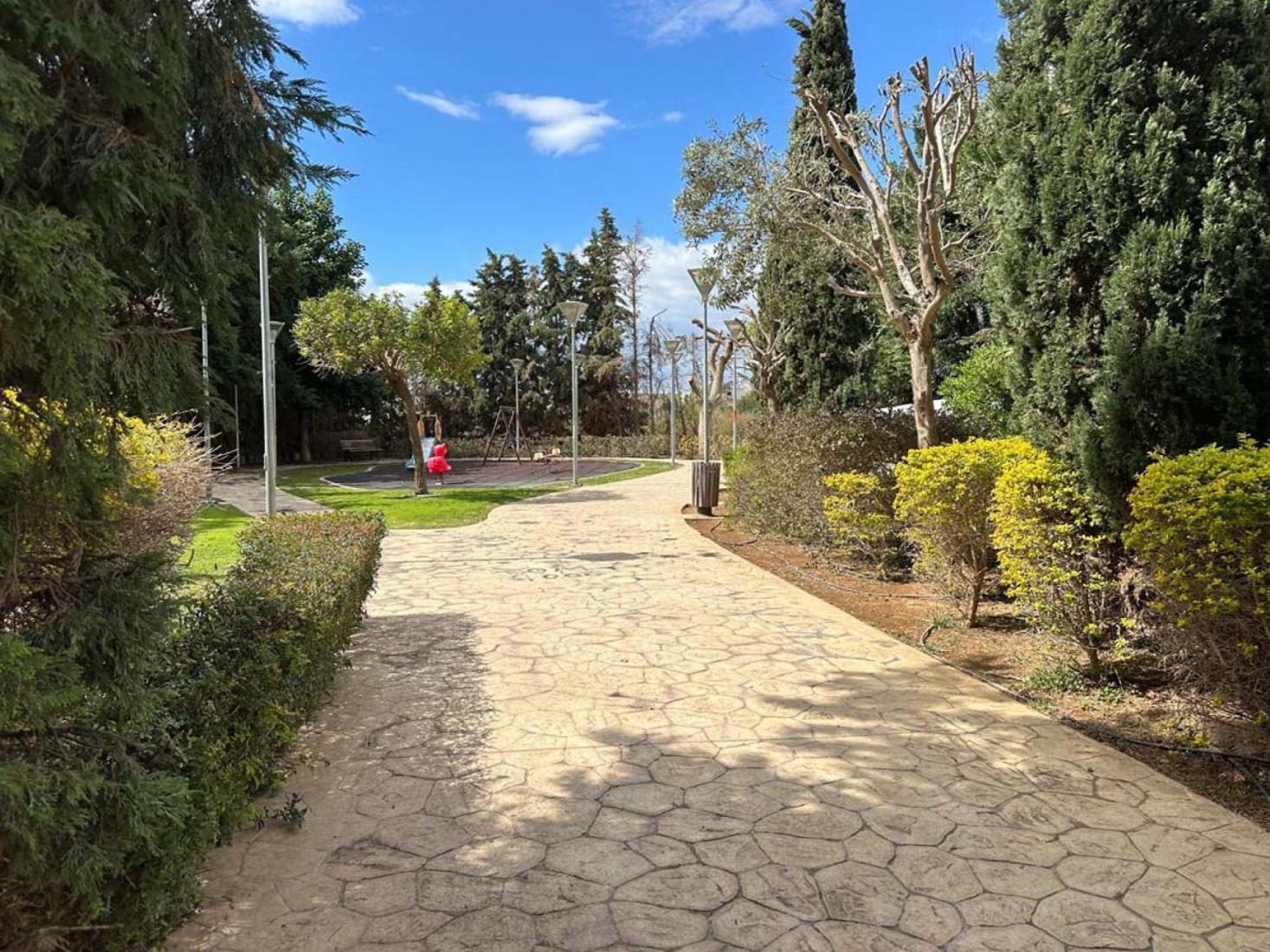 whatsapp-image-2025-06-03-at-114918-3-copy-large