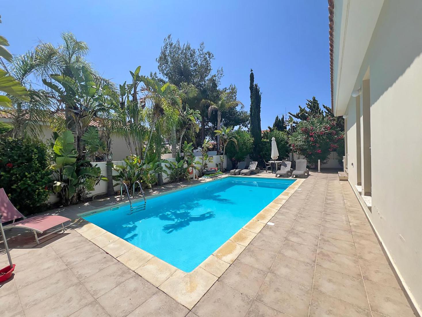 whatsapp-image-2025-07-08-at-163819-37-copy-large