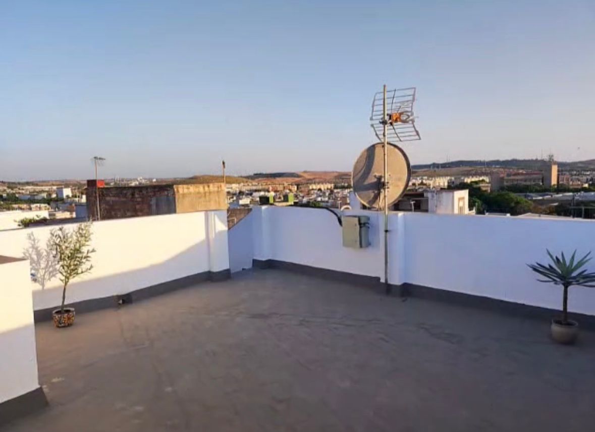 whatsapp_image_2025-10-17_at_08_22_27_3