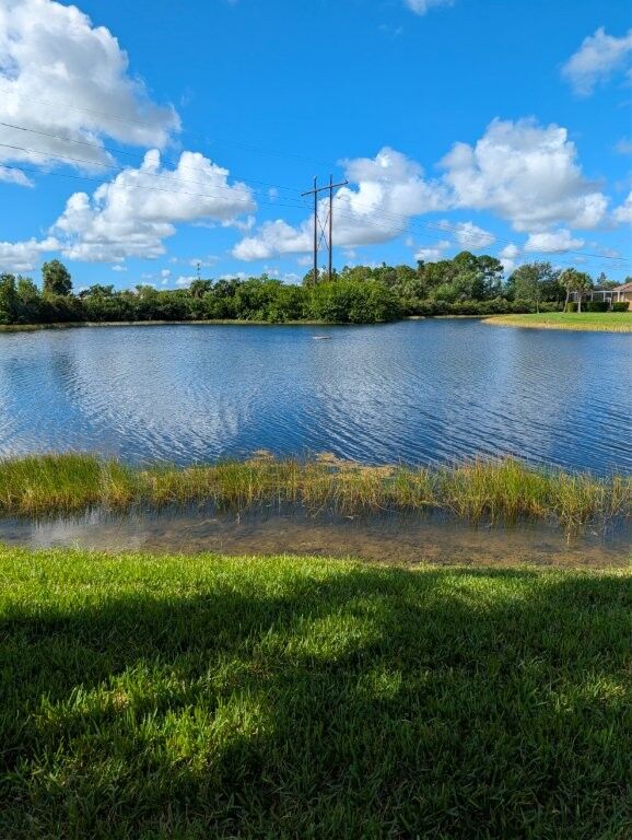 Scenic waterfront lake view in Cape Coral, Florida, with lush greenery and blue skies.