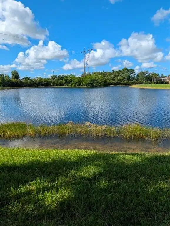 Scenic waterfront lake view in Cape Coral, Florida, with lush greenery and blue skies.
