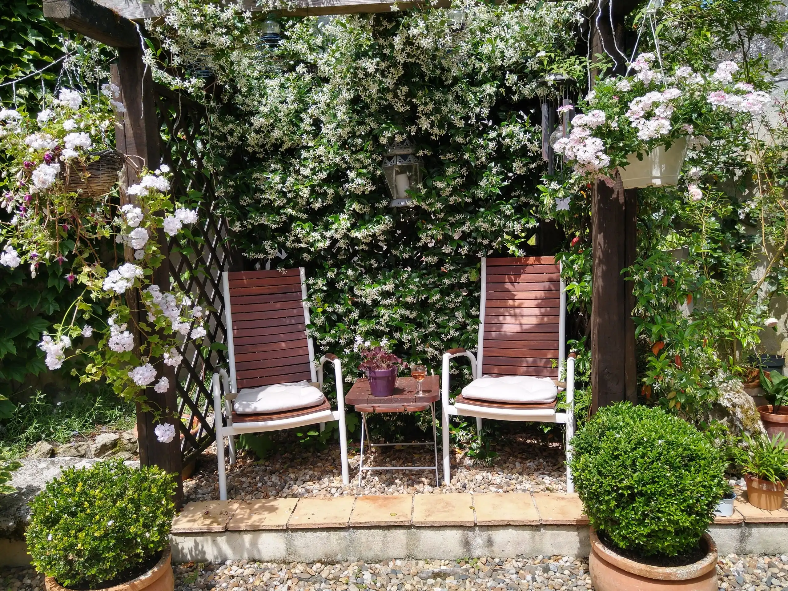 Beautiful garden corner with two wooden chairs and lush greenery backdrop.