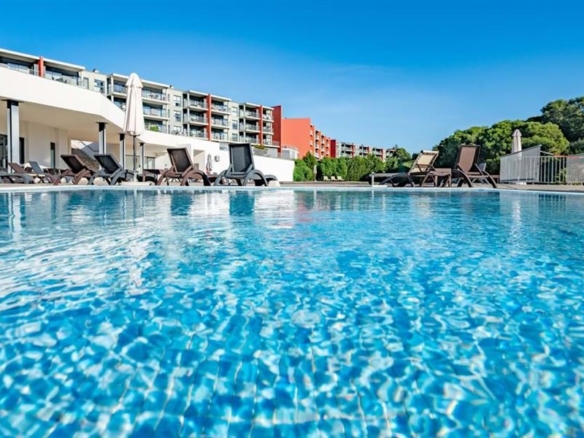 39 1 456f7c80 8fc8 469d ae9a cc87097d5a5f