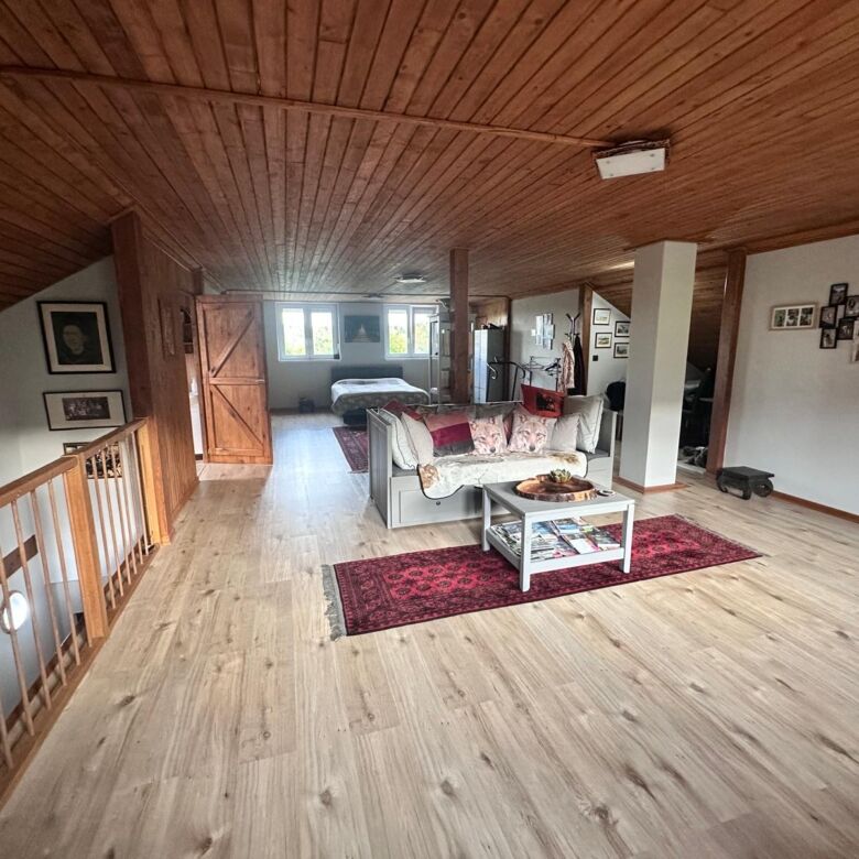 Cozy living room with wooden ceiling and modern furnishings in a beautiful rural home.
