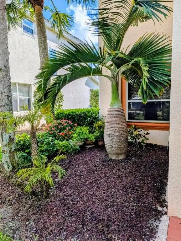 Waterfront villa with lush tropical landscaping in Cape Coral, Florida. Perfect for luxury living an.