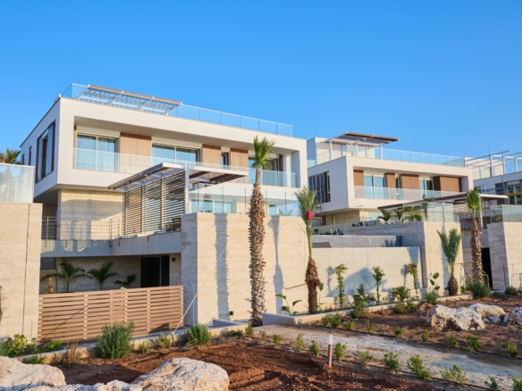 DSC 2437 Copy scaled 1