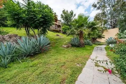 Beautiful garden with lush plants and a stone pathway in a Spanish colonial estate.