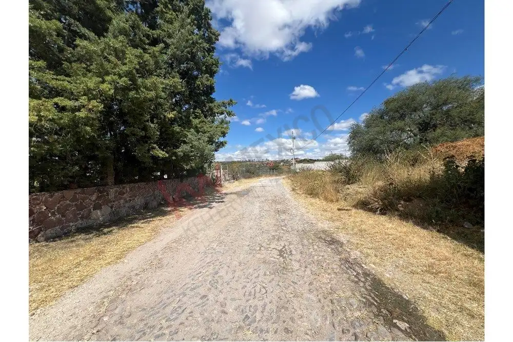 Scenic dirt road surrounded by lush greenery and trees near Casa Rincón del Cielo. Perfect for peace.