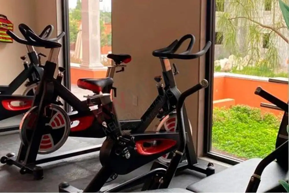 Indoor exercise bikes with large windows and garden view.