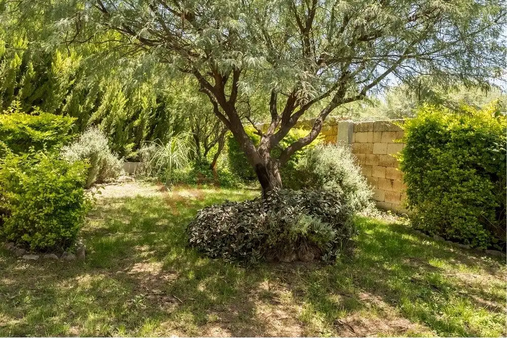 Charming garden with lush greenery and mature trees Beautiful backyard featuring mature trees and vibrant shrubs in a peaceful setting.