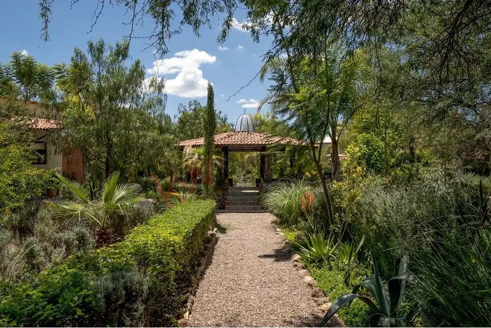 Modern House in Rancho Los Labradores, San Miguel de Allende Beautiful garden pathway leading to a contemporary home in Rancho Los Labradores, San Miguel de Alle.