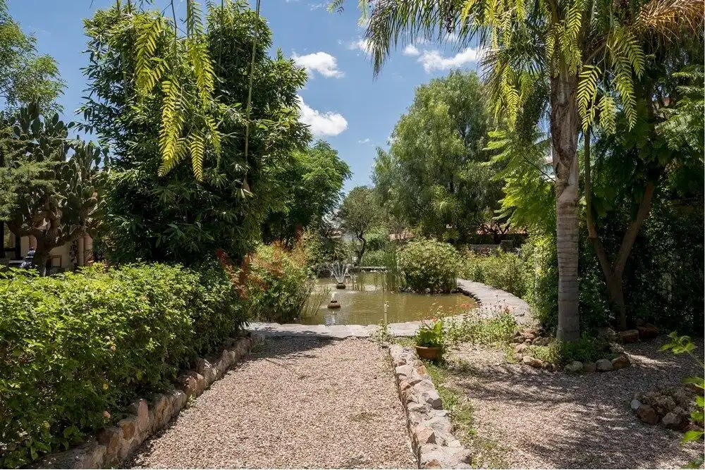 Beautiful garden pathway in Rancho Los Labradores, San Miguel de Allende. Lush garden with a gravel path leading to a serene water feature surrounded by tropical trees.