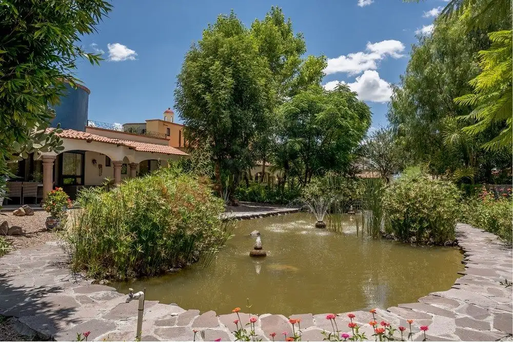 Beautiful garden with pond and lush greenery in Rancho Los Labradores. Serene garden featuring a pond, trees, and vibrant plants in Rancho Los Labradores, San Miguel de Al.