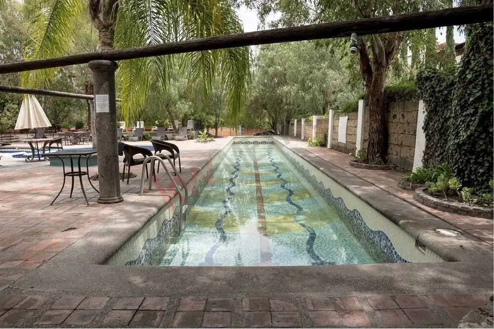 Pool with lush greenery at Rancho Los Labradores, San Miguel de Allende. Pool with lush greenery at Rancho Los Labradores, San Miguel de Allende.