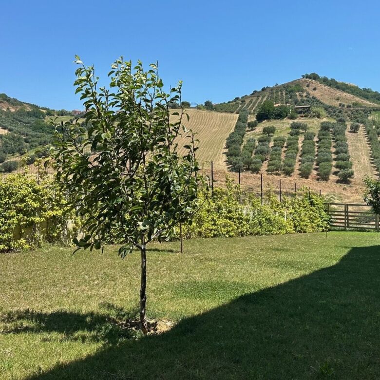 Beautiful villa with lush garden and panoramic countryside views in Tortoreto. Perfect for a luxurio.