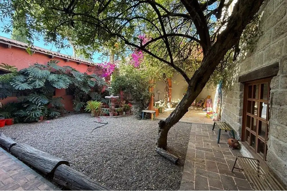 Charming Villa Garden in San Miguel de Allende Beautiful garden with mature trees and colorful flowers in Villa de Los Frailes.
