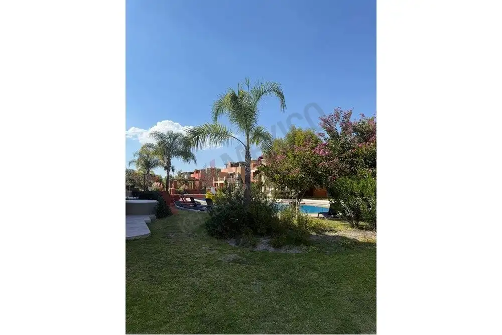 Beautiful outdoor garden with palm trees and flowering bushes in Arcos de San Miguel.