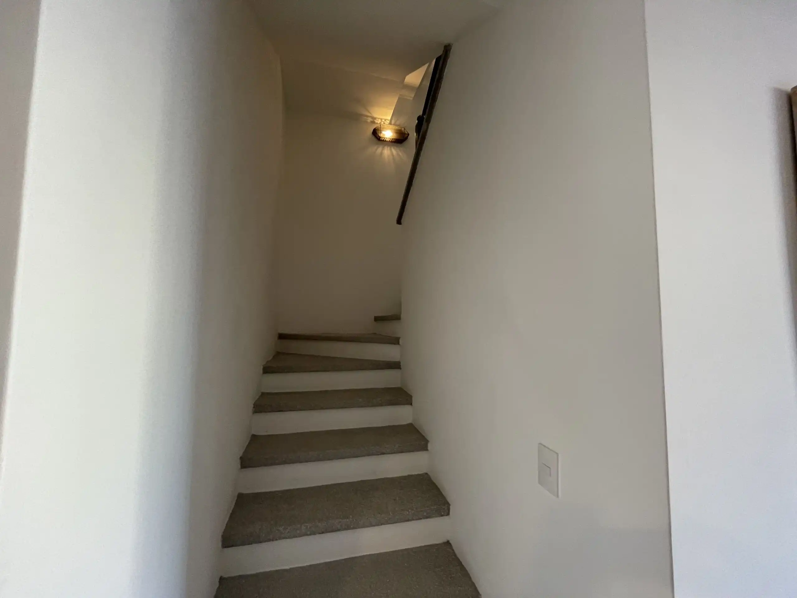 Modern interior staircase in a luxury home in San Miguel de Allende. Interior staircase with white walls and carpeted steps in a high-end property.
