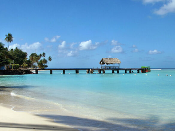 Beach with clear turquoise waters and palm trees in Trinidad and Tobago.