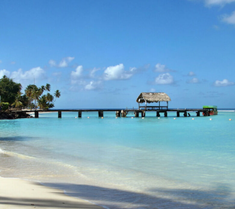 Beach with clear turquoise waters and palm trees in Trinidad and Tobago.