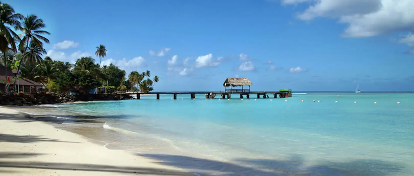 Beach with clear turquoise waters and palm trees in Trinidad and Tobago.