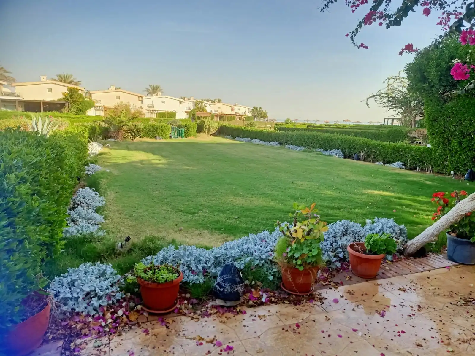 Elegant villa with lush garden in Ain Sokhna, Suez, perfect for luxury living.