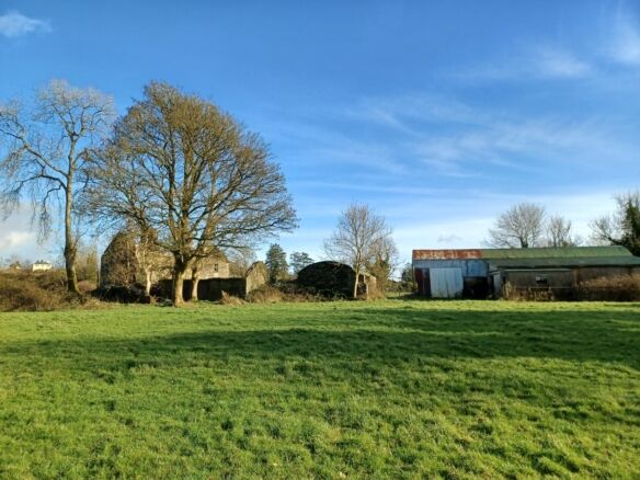 Spacious 26-acre land for sale in Cloonback, Aughnacliffe, Longford, ideal for farming or developmen.