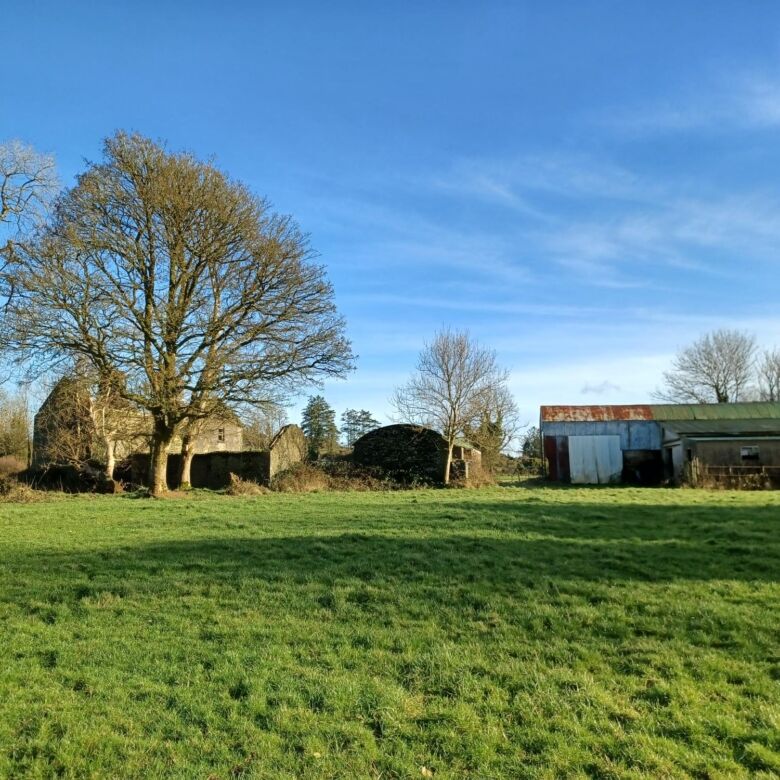 Spacious 26-acre land for sale in Cloonback, Aughnacliffe, Longford, ideal for farming or developmen.