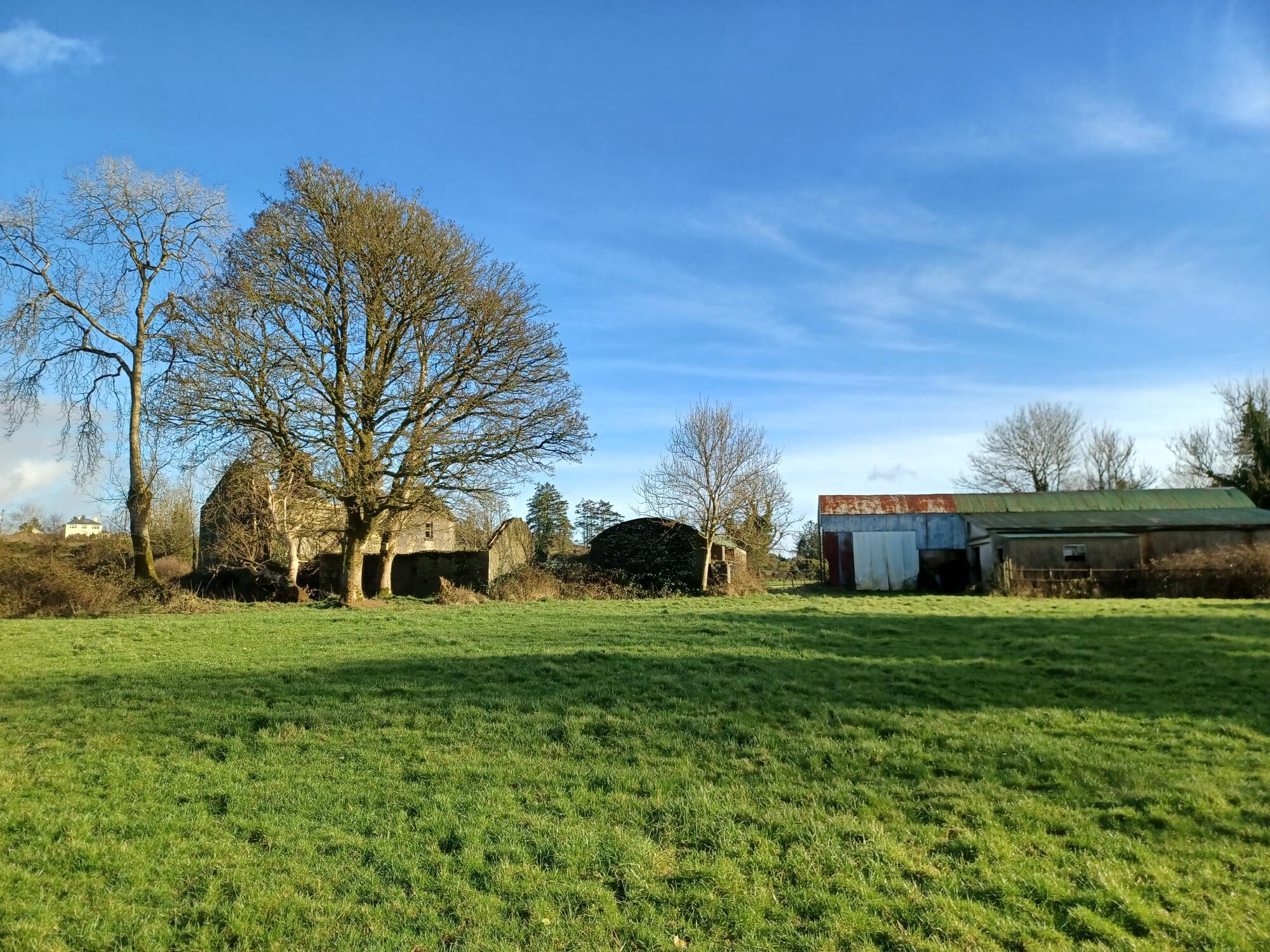 Spacious 26-acre land for sale in Cloonback, Aughnacliffe, Longford, ideal for farming or developmen.