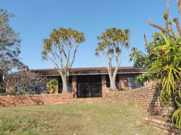Beautiful 4-bedroom property for sale in Bathurst, Eastern Cape, with lush garden and mature trees.