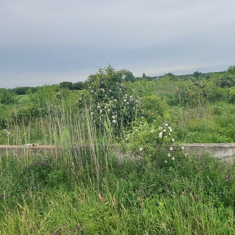 Beautiful land plot with lush greenery in Ciocanari, ideal for building or investment. Perfect locat.