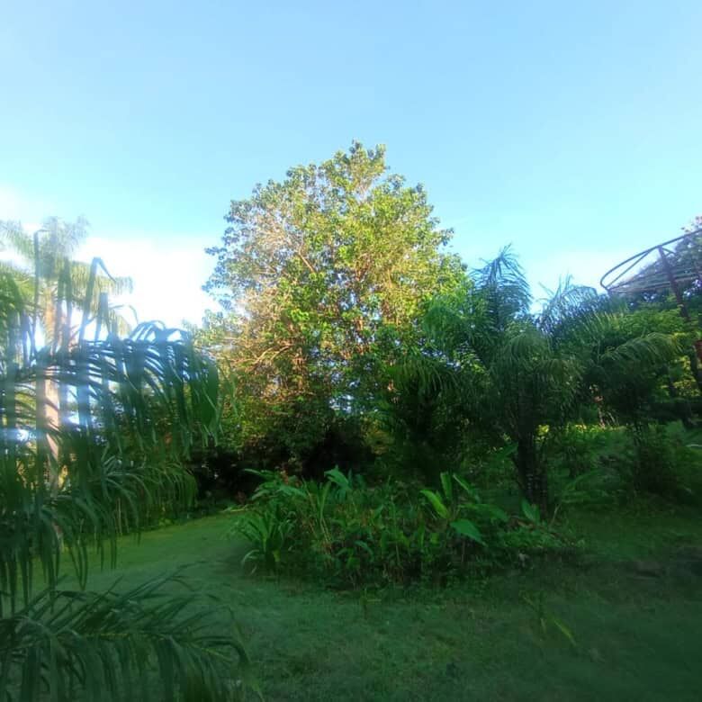 Friendly riverfront property ideal for tourism development near Playa Venao, Panama. Surrounded by l.