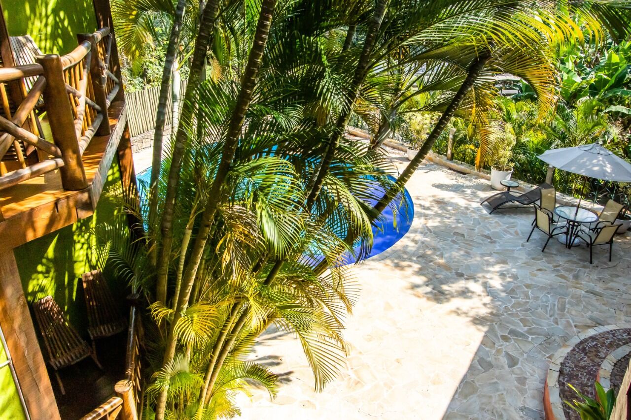Charming Boutique Hotel in Ilhabela Boutique hotel for sale in Ilhabela surrounded by lush tropical greenery and outdoor pool area.