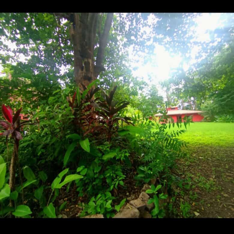 Tourism Property Near Playa Venao, Panama.