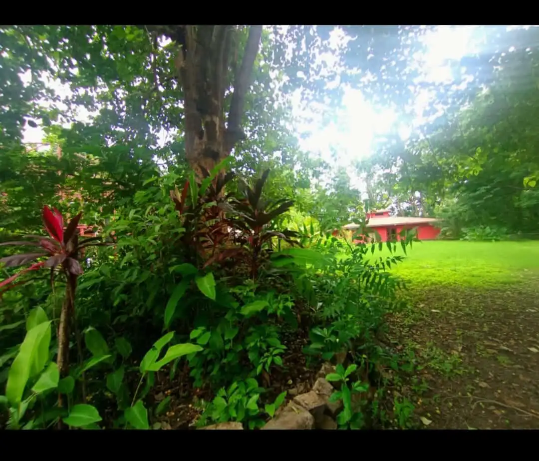 Tourism Property Near Playa Venao, Panama.